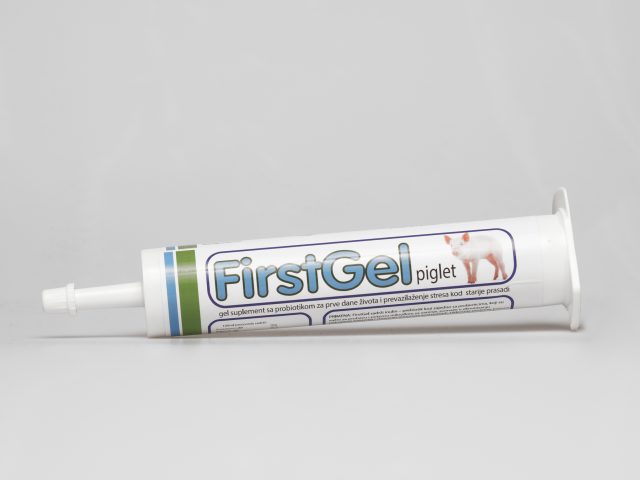 First gel piglet