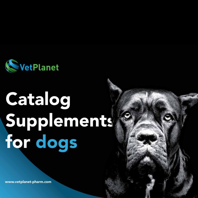 https://www.vetplanet-pharm.com/wp-content/uploads/2025/11/Cataloh_for_Dogs_VetPlanet-640x640.jpg