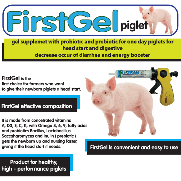 https://www.vetplanet-pharm.com/wp-content/uploads/2025/11/FIRSTGEL-PIGLET-eng.jpg