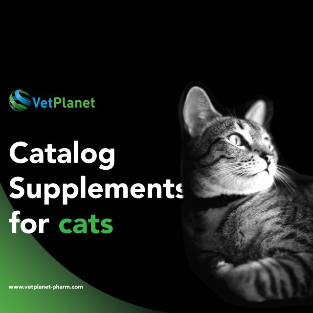 https://www.vetplanet-pharm.com/wp-content/uploads/2025/11/Final_Cataloh_for_cats_VetPlanet-640x640.jpg