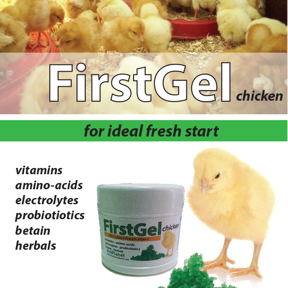 https://www.vetplanet-pharm.com/wp-content/uploads/2025/11/FirstGel-chicken-eng-1.jpg