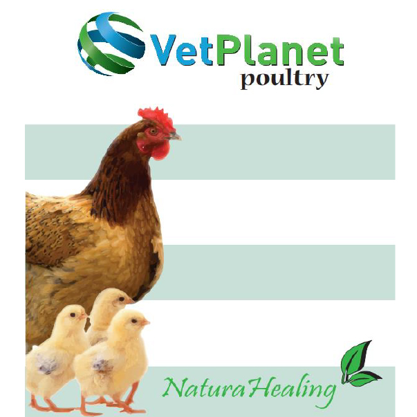 https://www.vetplanet-pharm.com/wp-content/uploads/2025/11/Poultry-catalog-2022-1.jpg