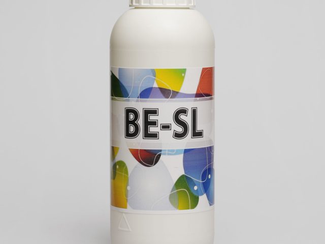 BE-SL