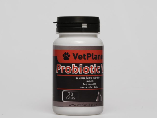 Probiotic VP
