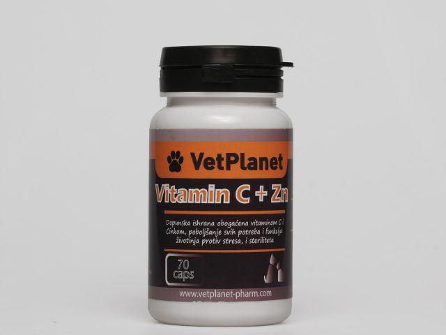 Vitamin C + Zn Capsules