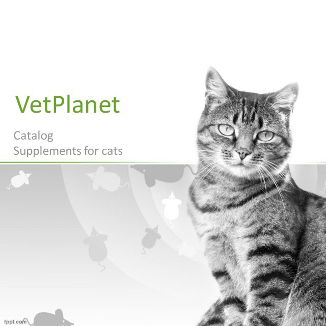 https://www.vetplanet-pharm.com/wp-content/uploads/2025/11/cat-catalog-2022-12-640x640.jpg