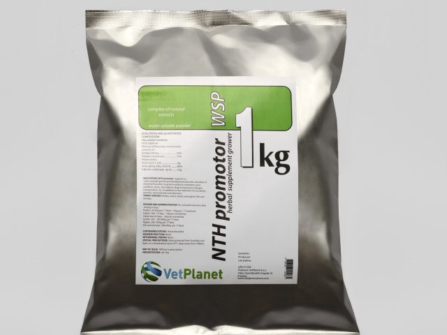 NTH Promotor Wsp